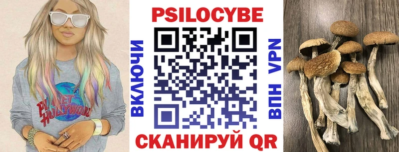 omg как зайти  купить   Родники  Галлюциногенные грибы Psilocybe 